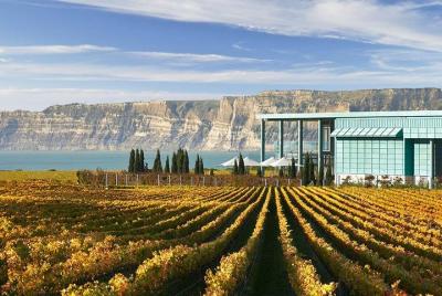 Hawke's Bay Morning Wine Tour and Te Mata Peak Including Winery L