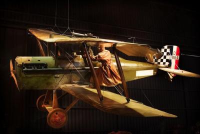 Picton Shore Excursion: Wings of Omaka and Marlborough Wine Tour