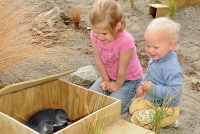 Ecoworld New Zealand tour from Marlborough Sounds