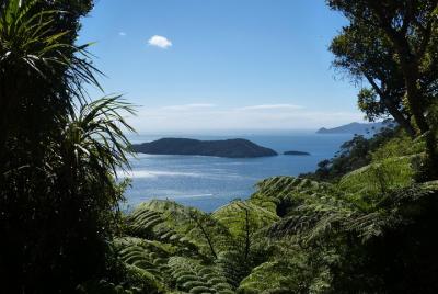 Motuara Island Bird Sanctuary and Ship Cove Cruise from Picton Motuara Island Bird Sanctuary and Ship Cove Cruise from Picton