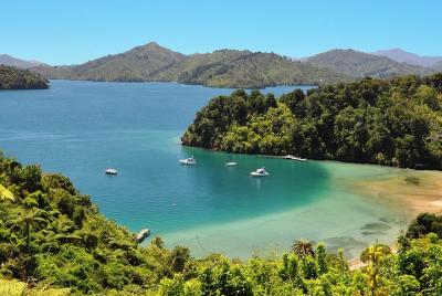 Full Day Queen Charlotte Kayak and Walking Tour from Picton