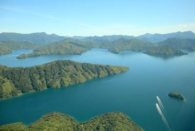 Bays and Bush Scenic Tour Bays and Bush Scenic Tour
