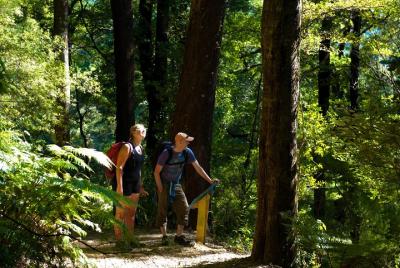 Self-Guided Queen Charlotte Track Walk from Picton Self-Guided Queen Charlotte Track Walk from Picton