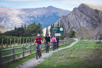 Bike The Wineries Half Day Tour Queenstown