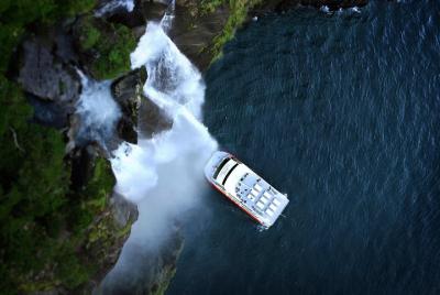 Half-Day Milford Sound Nature Cruise and Flight from Queenstown