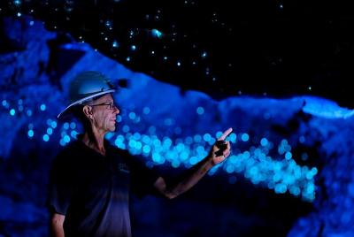 Waitomo Spellbound Glowworm and Cave Tour Full Day from/to Rotoru Waitomo Spellbound Glowworm and Cave Tour Full Day from/to Rotoru