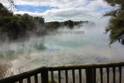 Ron Ron's Geothermal Walking Tour