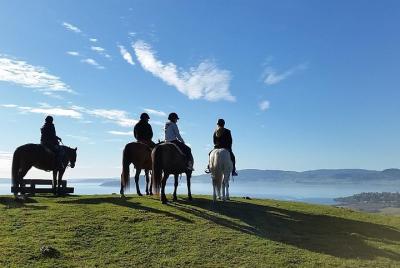 Guided Horse Trekking from Rotorua Guided Horse Trekking from Rotorua