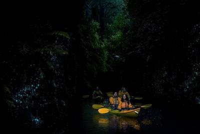 Kayak Glowworm Tour Kayak Glowworm Tour