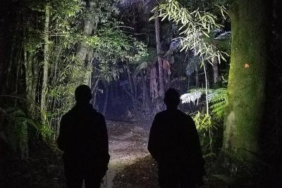 Nocturnal adventure Glow-worm tour Nocturnal adventure Glow-worm tour