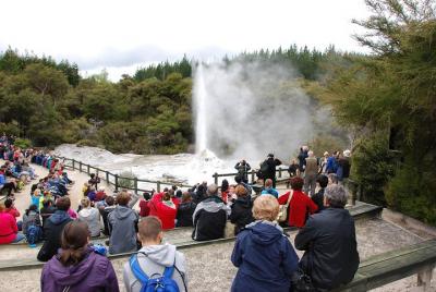 Private Tour Waiotapu Geothermal Shore Excursion up to 8 passenge Private Tour Waiotapu Geothermal Shore Excursion up to 8 passenge