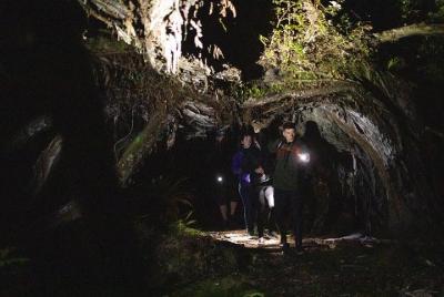 Stewart Island Wild Kiwi Encounter Stewart Island Wild Kiwi Encounter