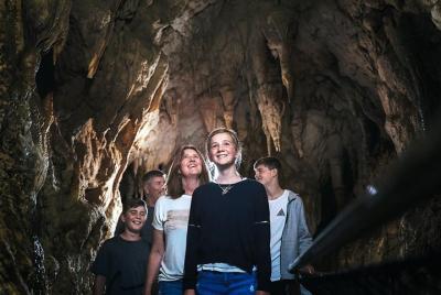 Waitomo Caves Day Trip, Option to Add Hobbiton ex Taupo