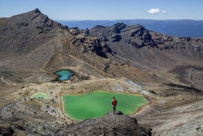 Tongariro Crossing Return Transfer from Turangi