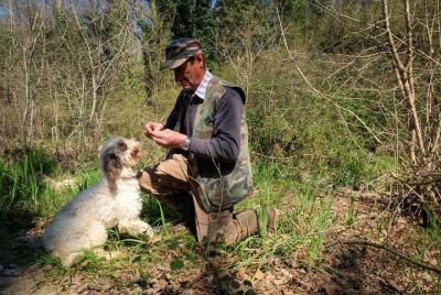Truffle Hunting with Wine Tasting in Chianti Truffle Hunting with Wine Tasting in Chianti