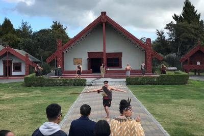 6hr Rotorua Geothermal Wonderland Tour 6hr Rotorua Geothermal Wonderland Tour