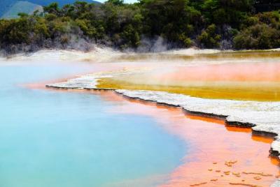 From Tauranga. Private Day Tour. Wia-O-Tapu Wonderland & Te Puia  From Tauranga. Private Day Tour. Wia-O-Tapu Wonderland & Te Puia