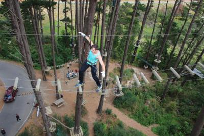 Adrenalin Forest Obstacle Course in the Bay of Plenty