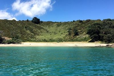 Waiheke Island Bush & Beach Walk