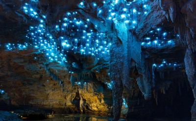 Footwhistle Glowworm Cave Footwhistle Glowworm Cave