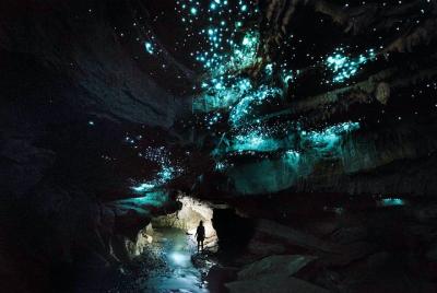 Off the Beaten Track - Glowworm Caving Adventure Tour in Waitomo Off the Beaten Track - Glowworm Caving Adventure Tour in Waitomo