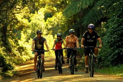 Remutaka Rail Trail Cycle Tour from Wellington Remutaka Rail Trail Cycle Tour from Wellington