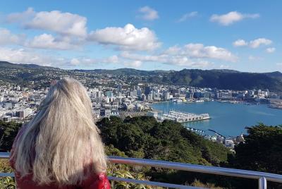 Private Wellington Full Day Sightseeing Tour Private Wellington Full Day Sightseeing Tour
