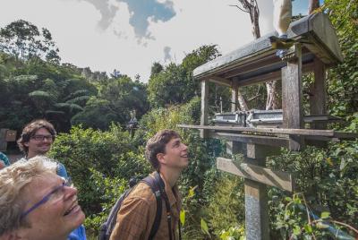 Small Group Daytime 2-Hour Eco Wildlife Tour at Zealandia Small Group Daytime 2-Hour Eco Wildlife Tour at Zealandia