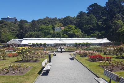 Wellington and Martinborough Overnight Combo Tour Wellington and Martinborough Overnight Combo Tour
