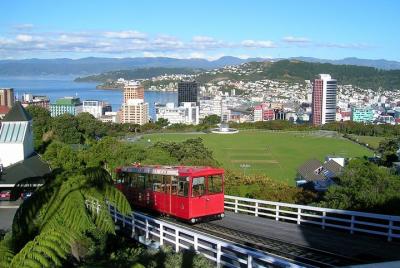 Shore Excursion: Wellington Highlights Small Group Tour Shore Excursion: Wellington Highlights Small Group Tour