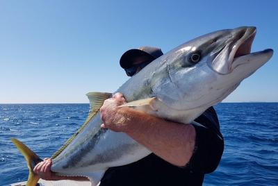 Fishing charter - single seat Fishing charter - single seat