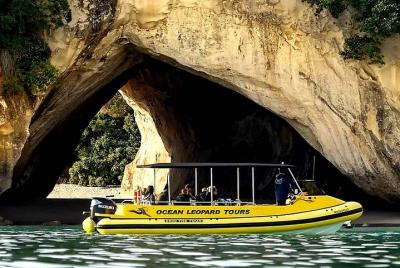 Ocean Leopard Tours - Cathedral Cove Boat Tour Ocean Leopard Tours - Cathedral Cove Boat Tour