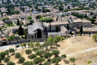 Discover Avignon its history, daily life & the village of Villene Discover Avignon its history, daily life & the village of Villene