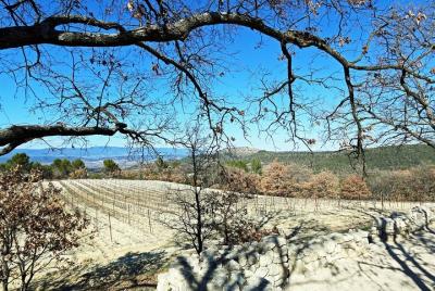 Provence wine tour of vineyards & the best foods & wine of Proven Provence wine tour of vineyards & the best foods & wine of Proven