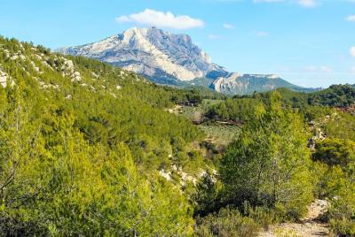Aix-en-Provence, Cézanne, Mt Sainte Victoire & the Wine of Provence private tour Aix-en-Provence, Cézanne, Mt Sainte Victoire & the Wine of Provence private tour