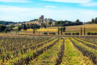 Wine tour of Châteauneuf du Pape, gastronomy, wines & joie de vivre private tour Wine tour of Châteauneuf du Pape, gastronomy, wines & joie de vivre private tour