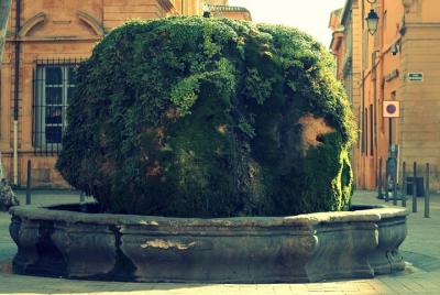 Aix-en-Provence Private tour | Fountains & Gardens Aix-en-Provence Private tour | Fountains & Gardens