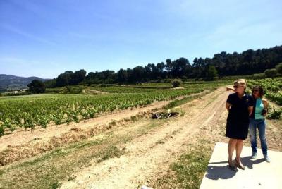 Bandol, Le Castellet and Sanary sur Mer Tour