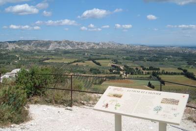 Provence Reds & Rose Wine Lovers Tours with Private Driver  Provence Reds & Rose Wine Lovers Tours with Private Driver