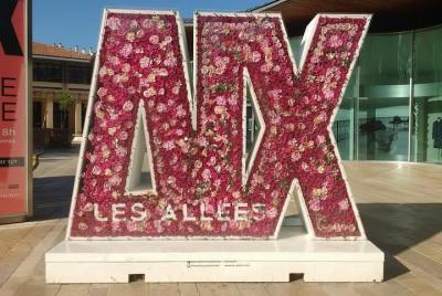 Guided Tour in Aix-en-Provence: Historical Old City Guided Tour in Aix-en-Provence: Historical Old City