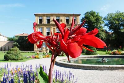 Classic old town Aix-en-Provence history, kings, culture - half day private tour Classic old town Aix-en-Provence history, kings, culture - half day private tour