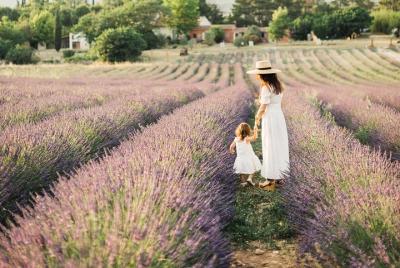 Visit a lavender field and participate in thematic workshops Visit a lavender field and participate in thematic workshops