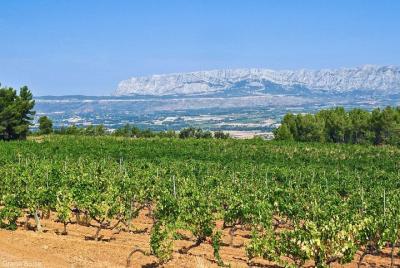 Half day Wine Tour in Côtes de Provence Sainte-Victoire from Aix  Half day Wine Tour in Côtes de Provence Sainte-Victoire from Aix
