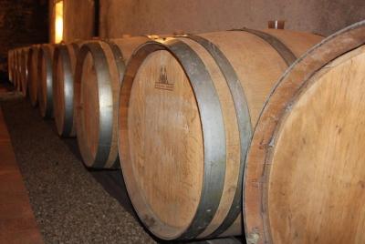 From Angers - Anjou Vineyards in Minivan From Angers - Anjou Vineyards in Minivan
