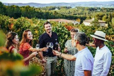 Provence Wine Tour - Private Day Tour from Nice Provence Wine Tour - Private Day Tour from Nice