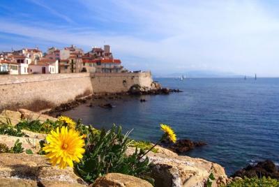 Private 4-hour Tour of Cannes and Antibes from Cannes with privat Private 4-hour Tour of Cannes and Antibes from Cannes with privat