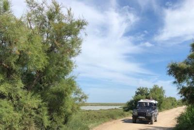 4x4 Camargue Safari 4h - Departure from Arles 4x4 Camargue Safari 4h - Departure from Arles