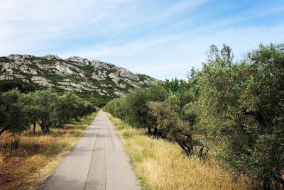 4x4 safari - 4h Alpilles Provence - Departure from Arles 4x4 safari - 4h Alpilles Provence - Departure from Arles