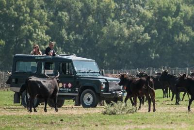 Camargue VIP 4x4 Safari from ARLES Camargue VIP 4x4 Safari from ARLES