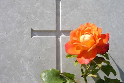 The Battle of the Somme Guided Day Tour from Arras